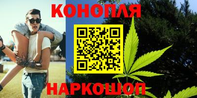 Альфа ПВП Малоярославец