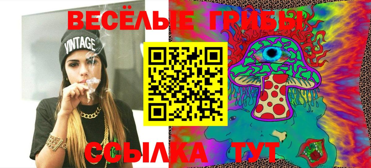 Волгоград  Псилоцибиновые грибы мухоморы  Вход с VPN 